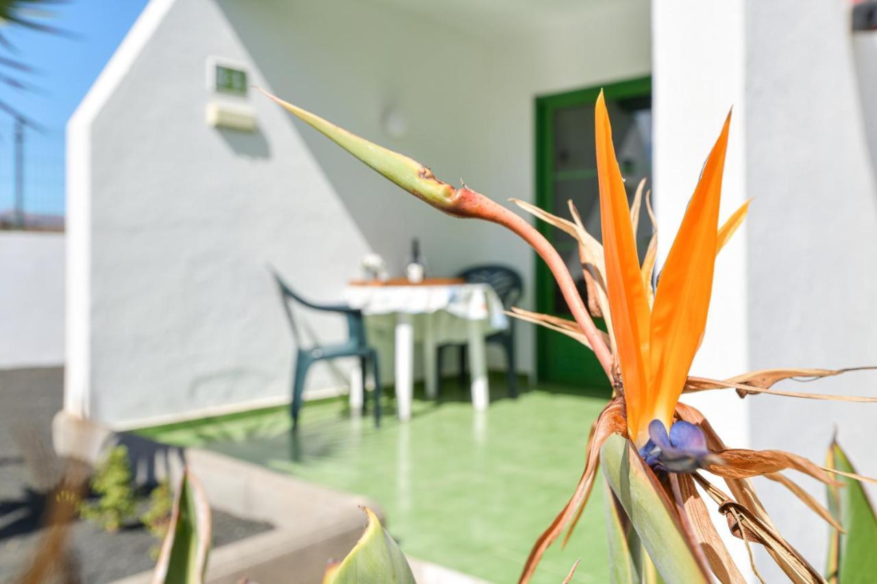 Mimosa B1 Lejlighed Puerto del Carmen  Eksteriør billede